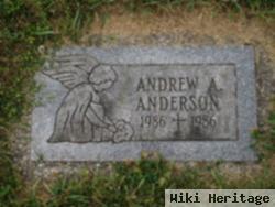 Andrew A. Anderson