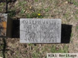 Joseph Julius Lumpkin