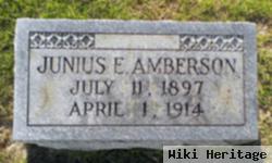 Junius E. Amberson