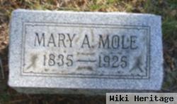 Mary A Mole