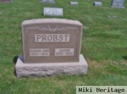 Sarah Ann Musson Probst