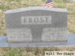 Joe Abb Frost