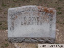 Clara Dove Gregg Laughter