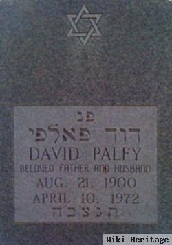 David Palfy
