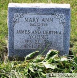 Mary Ann Young Perk