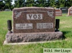 Joe C Vos