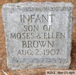 Infant Brown