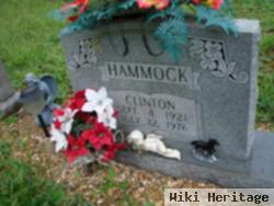 Clinton Hammock