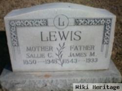 Sarah Catherine "sallie" Stephens Lewis