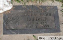 Joshua Raoul Gardner