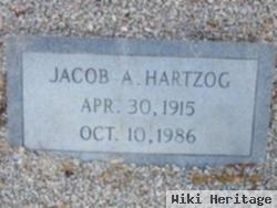 Jacob Andrew Hartzog