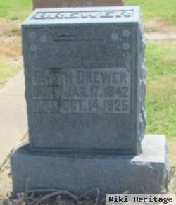 Smith Brewer