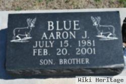 Aaron James Blue