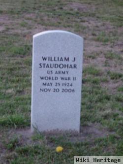 William J Staudohar