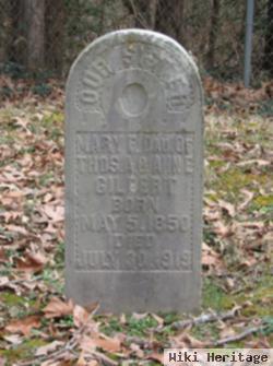 Mary F. Gilbert