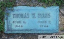 Thomas W Evans