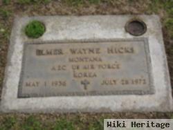 Elmer Wayne Hicks