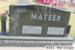 Mary L Mateer