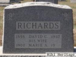 Marie A. Viola Richards