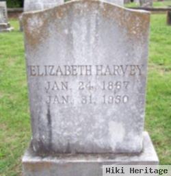 Elizabeth "lizzie" Harvey