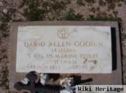 David Allen Goodin