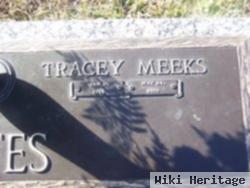 Tracey Colleen Meeks Yates