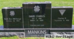 David Charles Mankins