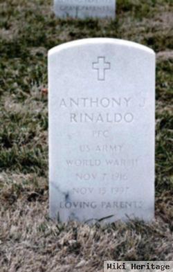 Anthony J Rinaldo