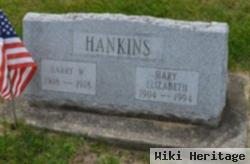 Harry W. Hankins