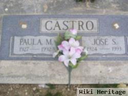 Paula M. Castro