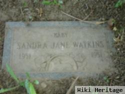 Sandra Jane Watkins