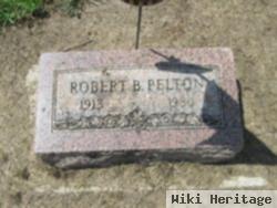 Robert Pelton