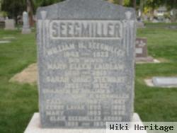 Terry Lavar Seegmiller