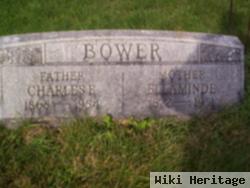 Charles E. Bower