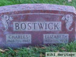 Elizabeth Rheingans Bostwick