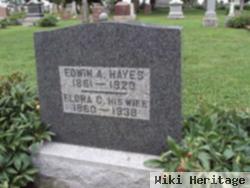 Edwin Alfred Hayes