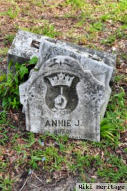 Annie J Johnson