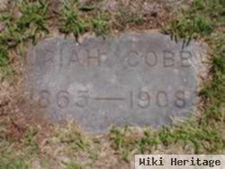 Joseph Uriah Cobb