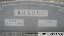 Peter J. Krause