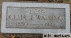 Celia J Harris Walling