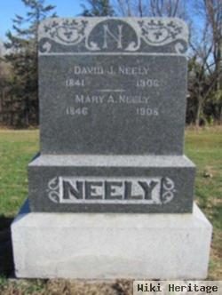 David John Neely