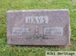 Mary A Wyatt Hays