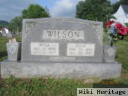 Rosa Lee Johnston Wilson