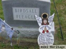 Helen Fleagle Birdsall