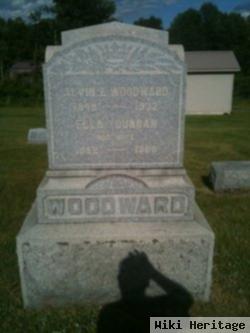 Alvin Edgar Woodward