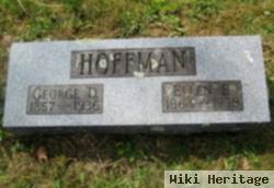 Ellen E Hoffman