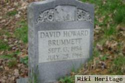 David Howard Brummett