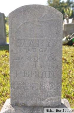 Mary Peedin