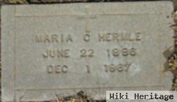 Maria C Hermle