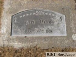 Mary Singer Taylor